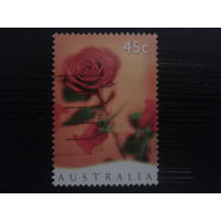Австралия 1997 День всех влюбленных, роза К 14 1/2 : 14