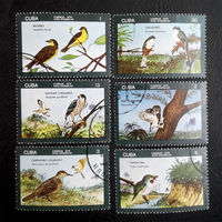 Куба 1976 г. Птицы. Фауна. полная серия из 6 марок #0046-Ф1