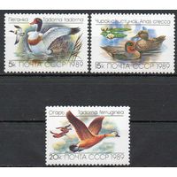 Утки СССР 1989 год (6084-6086) серия из 3-х марок