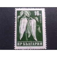Болгария 1958 перец