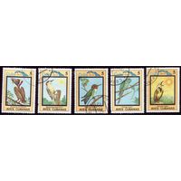 5 марок 1983 год Куба Птицы 2803-2807