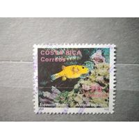 Коста-Рика.1994г. Фауна.
