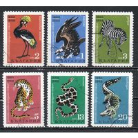 80 лет зоопарку Болгария 1968 год серия из 6 марок