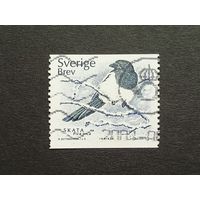 Швеция 2001. Птицы