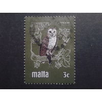 Мальта 1981 сова