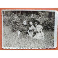 Фото трех девушек. 1950-е. 8.5х12 см.