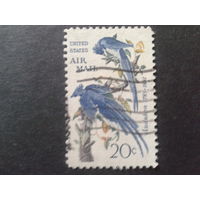 США 1967 авиапочта, птицы