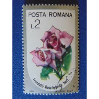 Румыния 1986 г. Цветы.