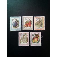 Куба, 1966  5м полная серия  Плоды фруктовых деревьев   Михель 859-63  -  по каталогу 2,8 евро