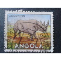 Ангола 1953 колония Португалии носорог