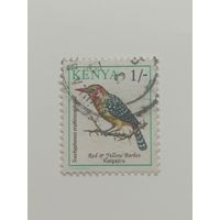 Кения 1993. Птицы