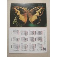 Карманный календарик. Зоопарк. Бабочка. 1991 год