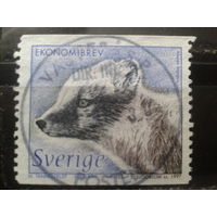 Швеция 1997 фауна