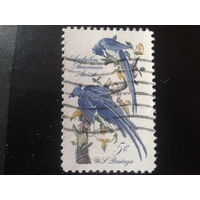 США 1967 птицы