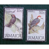 Ямайка: 2м птицы