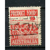 Австралия - 1953 - Коровы, говядина 3 1/2pP - [Mi.228] - 1 марка. Гашеная.  (LOT AK6)