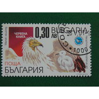 Болгария 2001г. Птицы.