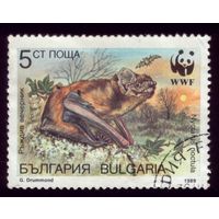 1 марка 1989 год Болгария 3741