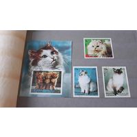 Кошки марки фауна Шарджа 1972 блок и три марки - кошки и котята