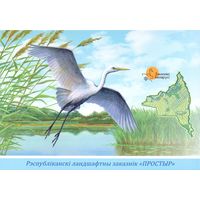 Беларусь 2022 ландшафтный заказник "Простыр" фауна птицы