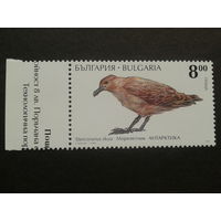 Болгария 1995 птица
