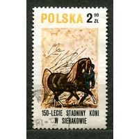 Лошади. Конный спорт. Польша. 1980