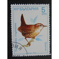 Болгария 1987 г. Птицы.