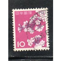 Япония. Mi:JP 758A. Цветение вишни Серия: Фауна, Флора и Культурное наследие 1961.