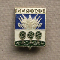 Значок герб города Березов 5-38