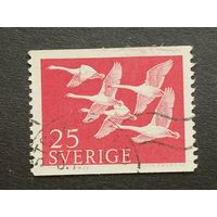 Швеция 1956. Марки Севера - Птицы