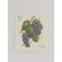 США Виноград