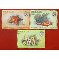 Белиз. Морская фауна. ( 3 марки ) 1984 года. 7-13.