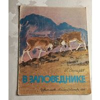 Снегирёв Геннадий. В заповеднике. 1986