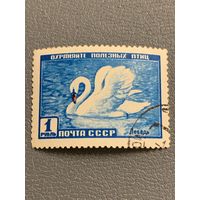 СССР 1959. Фауна. Лебедь. Марка из серии