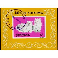 Кошки Строма 1969 год блок из 1 беззубцовой марки