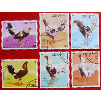 Куба. Курицы. ( 6 марок ) 1981 года.