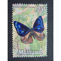 Малайзия. Бабочки.