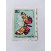 Венгрия  1966 бабочка