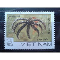 Вьетнам 1985 Морская фауна