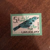 Уругвай. Фауна. Птицы. Cielito