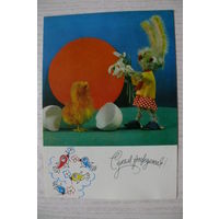 Кропивницкий И., Бойков А., С днем рождения! 1971, подписана (игрушки, заяц, цыплёнок).