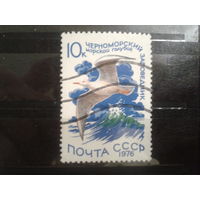 СССР 1976 морской голубок