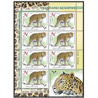 2013г Беларусь MNH  "Дальневосточный леопард"