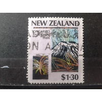 Новая Зеландия 1987 Нац. парк, вулкан Михель-2,2 евро гаш