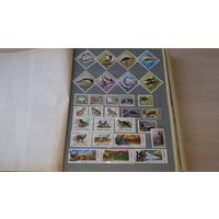 Коллекция марок - альбом с марками по теме фауна разных стран - Азия Европа Африка Америка - альбом СССР на 28 страниц