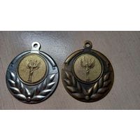 Две медали серебро и бронза