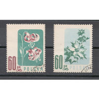 Польша.1957.Цветы (2 марки)
