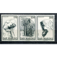 Сан-Марино - 1977г. - Рождество - полная серия, MNH [Mi 1150-1152] - 3 марки - сцепка