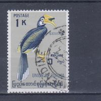 [2146] Бирма 1964. Фауна.Птица-носорог. Гашеная марка.