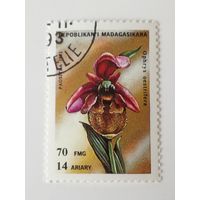 Мадагаскар 1993. Орхидеи. Цветы.